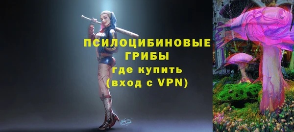 амфетамин Алексеевка