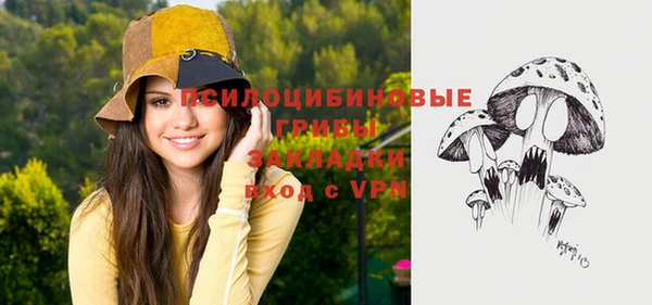 амфетамин Алексеевка