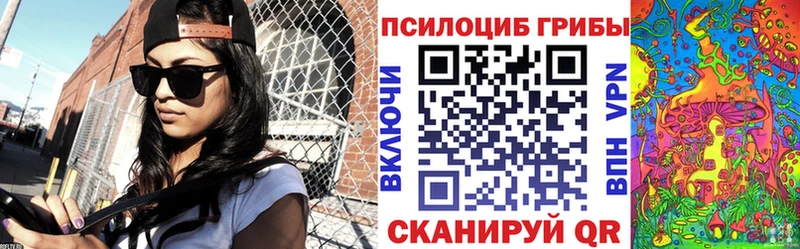 Галлюциногенные грибы Psilocybe  купить закладку  Берёзовский 